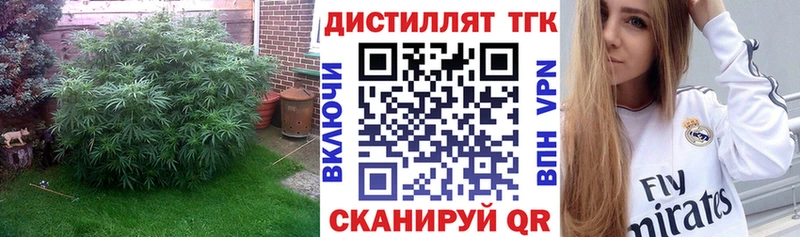 ТГК THC oil  МЕГА ССЫЛКА  площадка наркотические препараты  Новосиль 